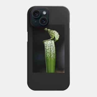 Green Pitcher Plant Study Phone Case