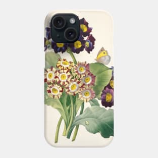 Primula Auricula by Pierre-Joseph Redoute Phone Case