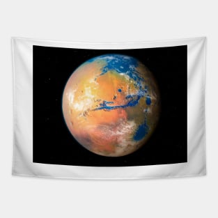 Terraformed Mars, artwork (S900/0379) Tapestry