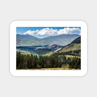 Mountains Forest And Volcanic Dike Colorado Magnet