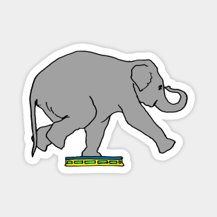 Circus Elephant, big grey elephant, Magnet