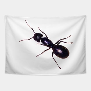 Black Ant Watercolor Style Tapestry