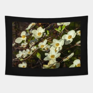 Dogwoods Tapestry