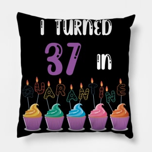 I Turned 37 In Quarantine funny idea birthday t-shirt Pillow