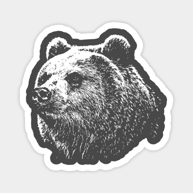 Hey, Bear! Magnet by teehunterdotcom