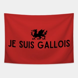 Je Suis Gallois, Wales in France Tapestry