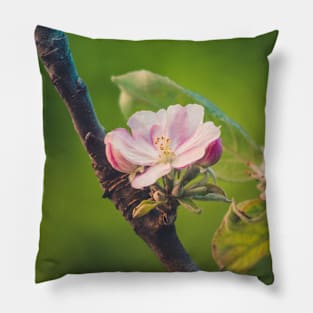 Simple things Pillow