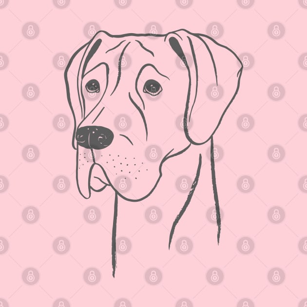 Great Dane (Pink and Gray) by illucalliart