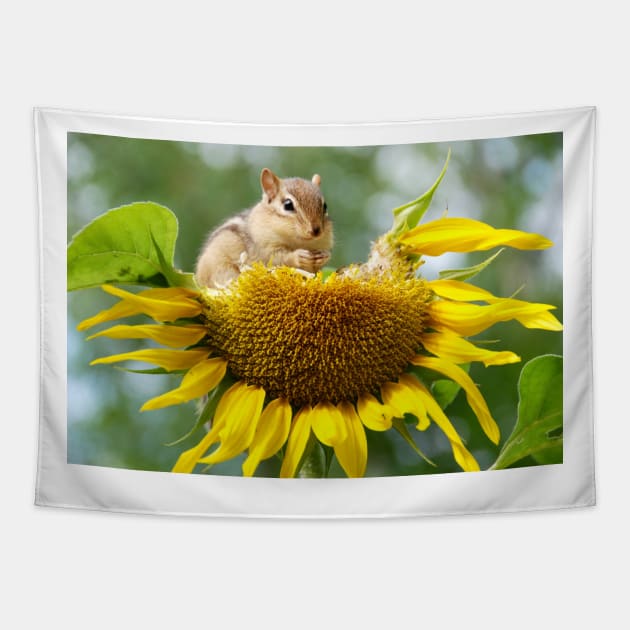 Squirrel Tapestry by kawaii_shop