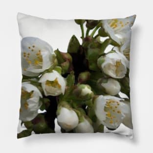 Cherry Blossoms Pillow