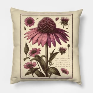 Vintage Purple coneflower Pillow