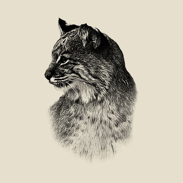 Bobcat by Guardi