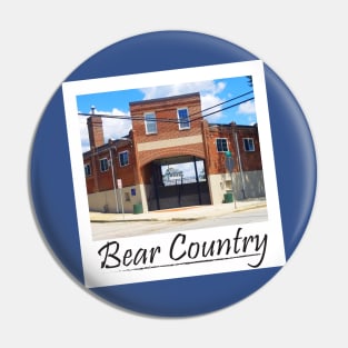 Bear Country Pin