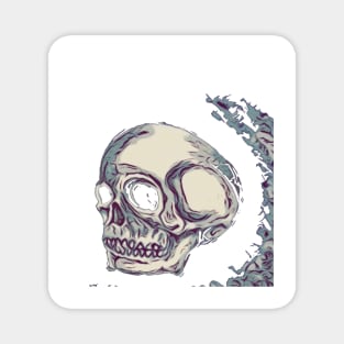 Surfers skull Magnet