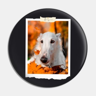 borzoi photo Pin