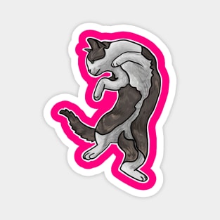 Dancing kitty Magnet