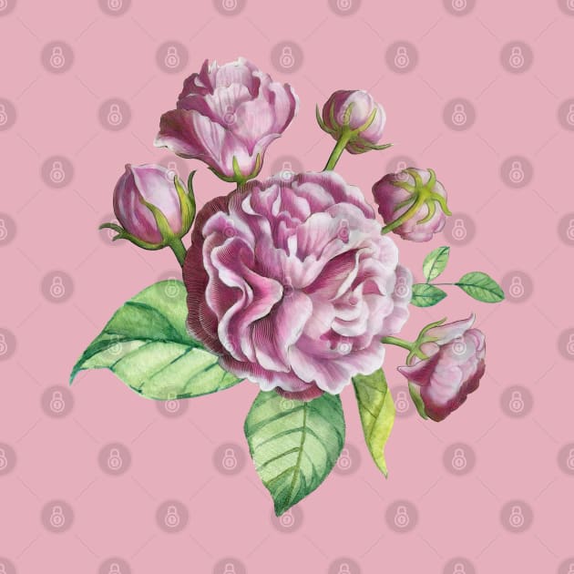 Camellia Rose Garden Flowers by CatyArte