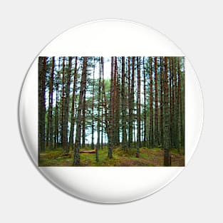 A walk in the woods Pin