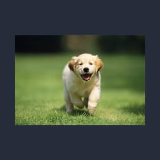 Happy Golden Retriever Puppy Running on the Grass T-Shirt