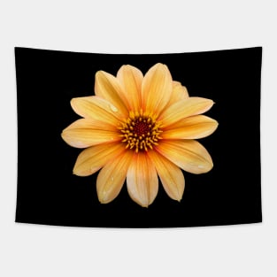 Single Orange Flowering Dahlia - Large Flower Tapestry