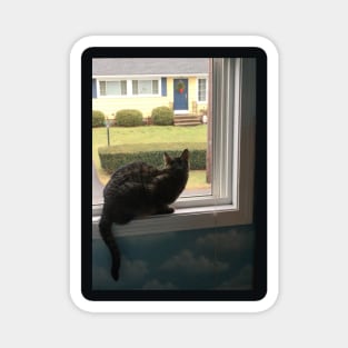 Kitty in the Window Magnet