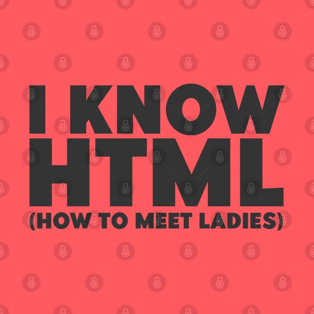 I Know HTML (How To Meet Ladies) Funny Programmer by Issho Ni