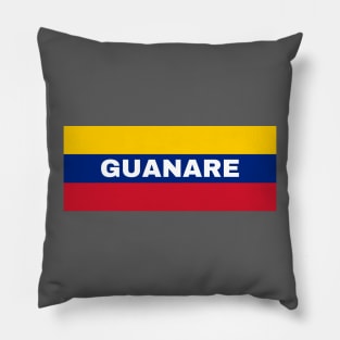 Guanare City in Venezuelan Flag Colors Pillow