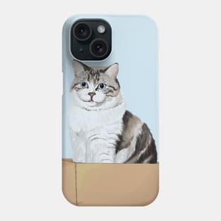 Box Kitty Phone Case