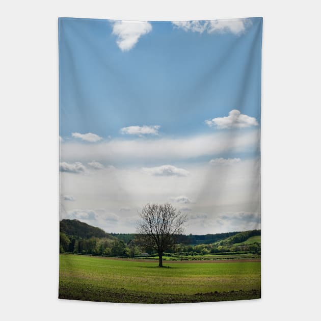 A lone tree in a field - Yorkshire, UK Tapestry by richflintphoto