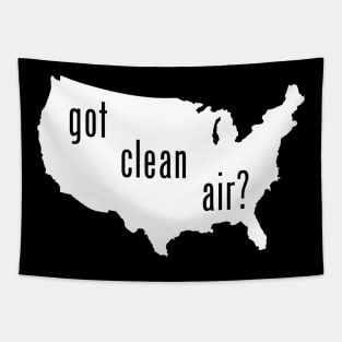 USA - Got Clean Air? Tapestry