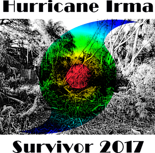 Hurricane Irma Survivor 2017 Magnet