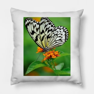 black butterfly Pillow