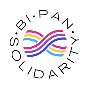 Bi / Pan Solidarity T-Shirt