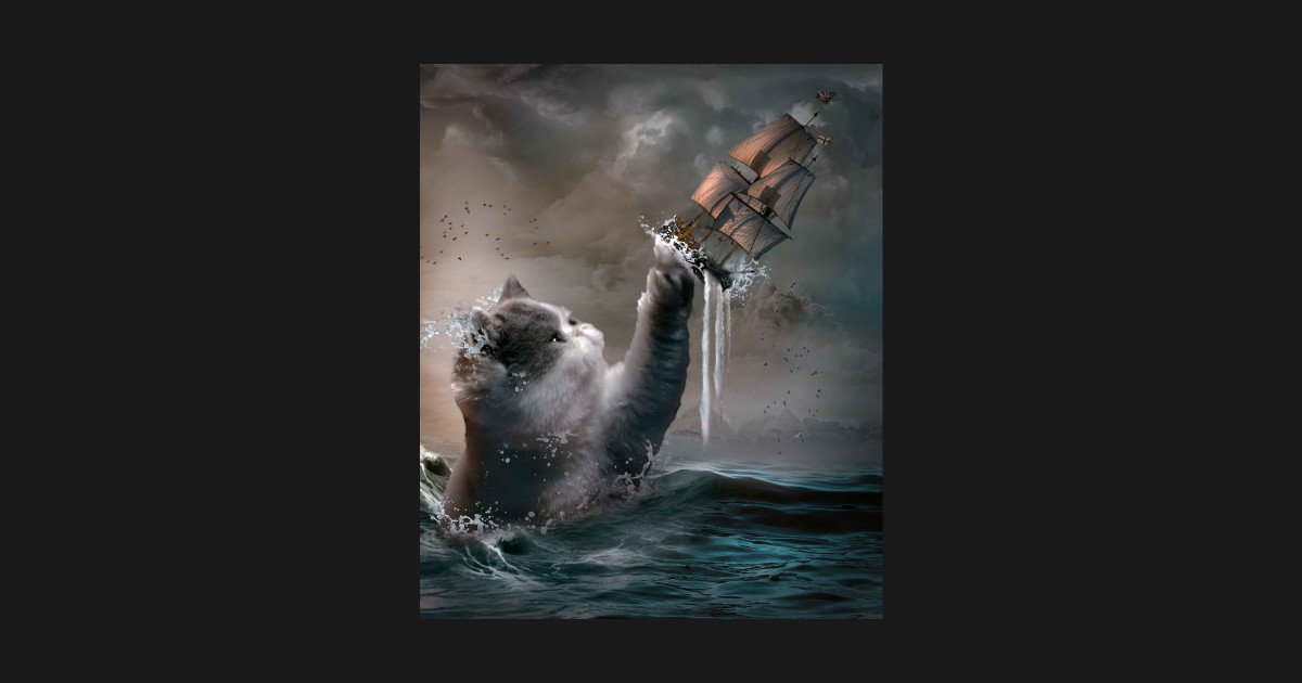 shirts ladies cotton