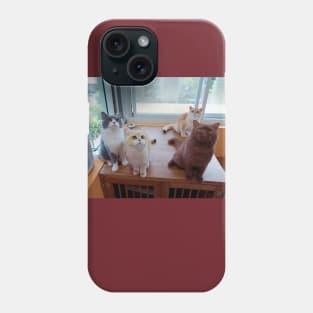 the cute cats team Phone Case