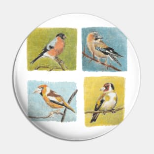 Birds Pin