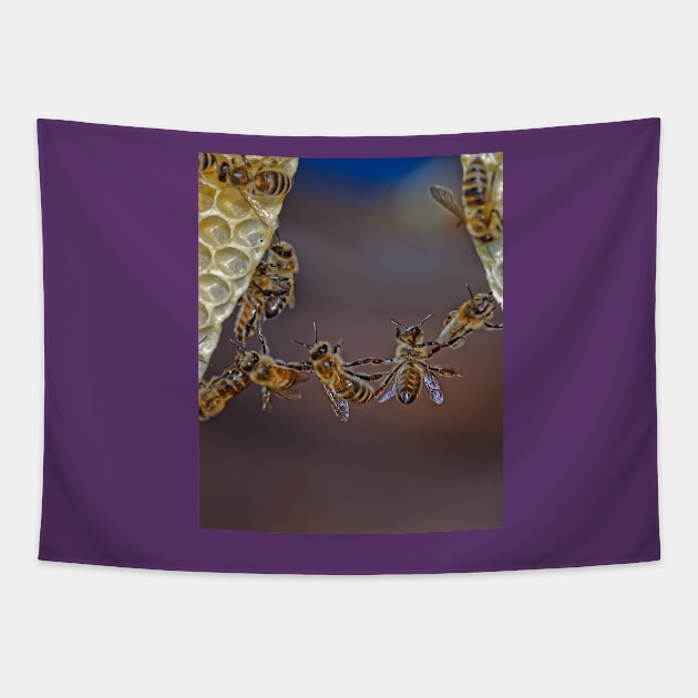 Bee acrobatics Tapestry by mbangert