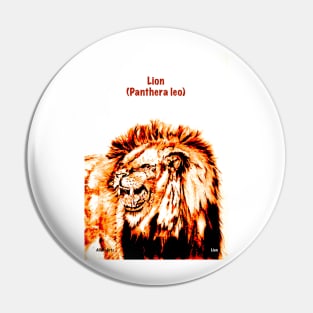 Lion (Panthera leo) Pin