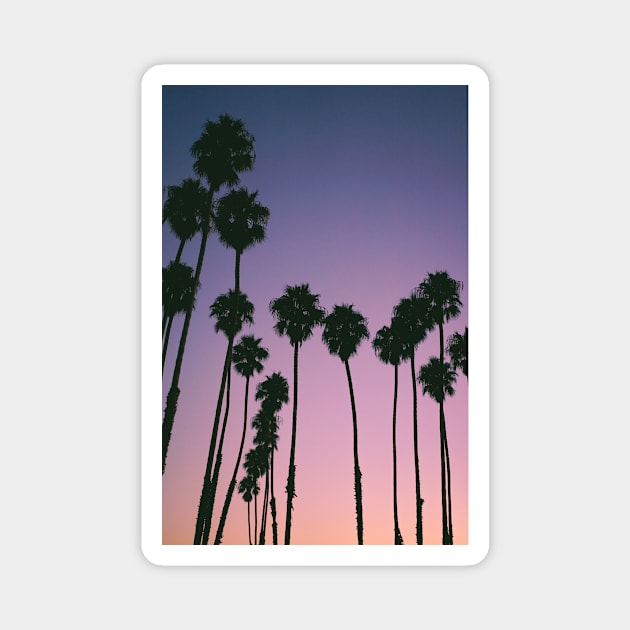 Purple Sunset Palm Trees Magnet by NewburyBoutique