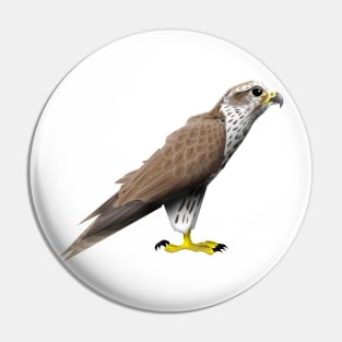 Falcon Pin