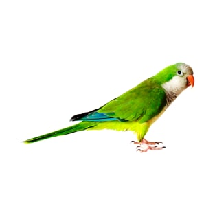 Green Parakeet T-Shirt