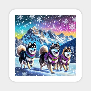 Malamutes in the Snow Magnet