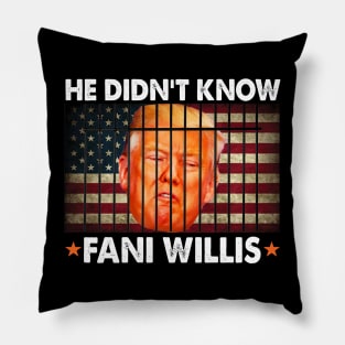 He didn't know Fani Willis Pillow