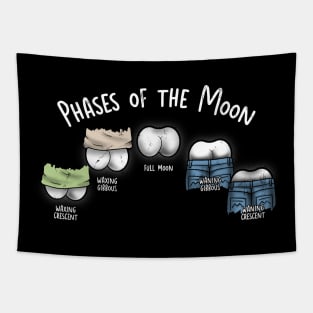 Phases of the Moon Tapestry