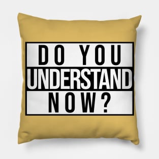 Do You Understand Now? Pillow