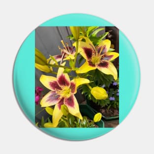 Lily Flower Yellow Pin