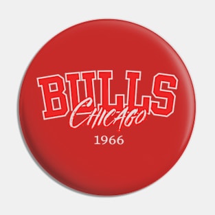 bulls basketball Pin