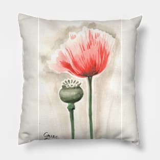 Red popy flower Pillow