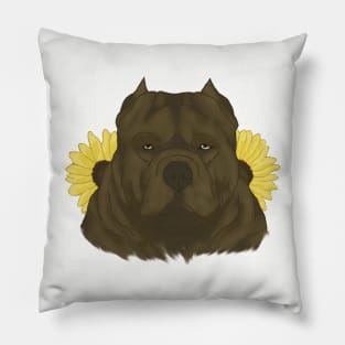 Chocolate American Bully with Sunflowers Pillow