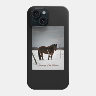 Horse in Winter. Phone Case